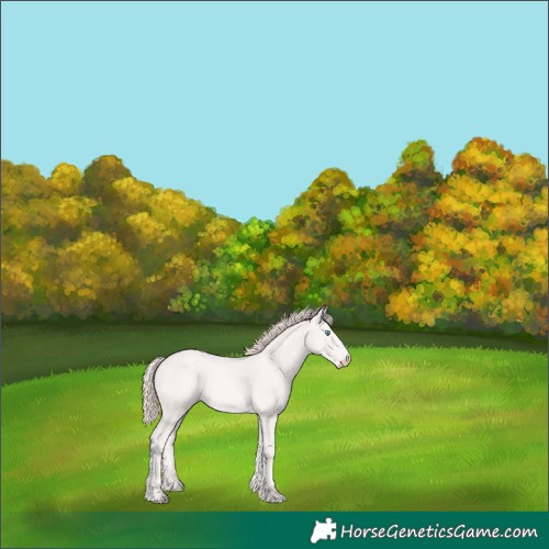 Horse Color:Perlino 