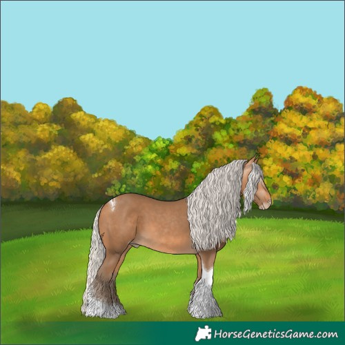 Horse Color:Gray Silver Perlino Tobiano 