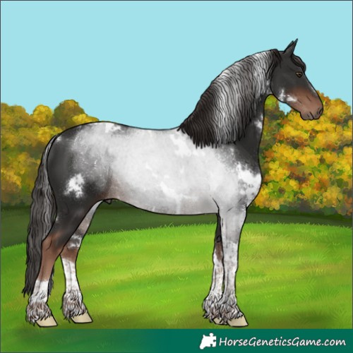 Horse Color:White Spotted Liver Chestnut Tobiano 