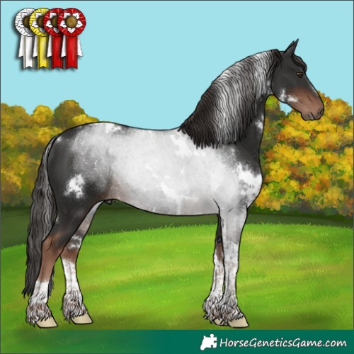 Horse Color:White Spotted Liver Chestnut Tobiano 