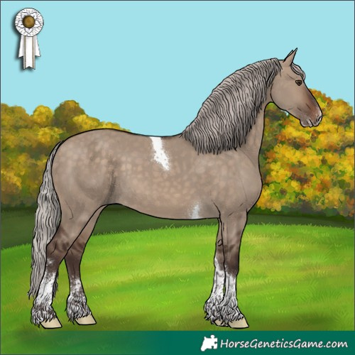 Horse Color:Silver Brown Dun Sabino Tobiano 