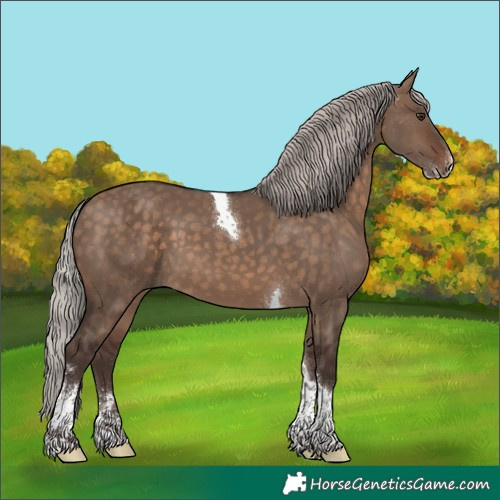 Horse Color:Silver Brown Dun Sabino Tobiano 