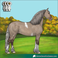 Horse Color:Silver Brown Dun Sabino Tobiano 