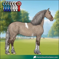 Horse Color:Silver Brown Dun Sabino Tobiano
