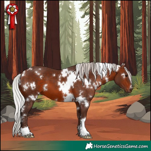 Horse Color:White Spotted Silver Brown 