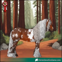 Horse Color:White Spotted Silver Brown 