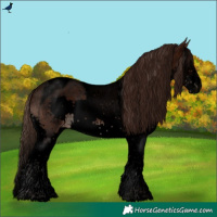 Horse Color:Void Brown Sabino Splash Tobiano Appaloosa 