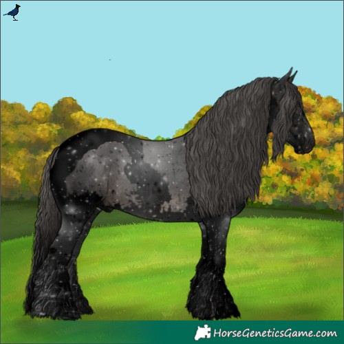Horse Color:Void Black Splash Tobiano Snowflake Varnish