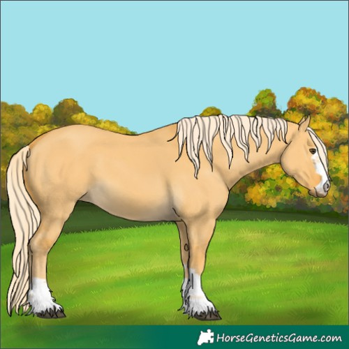 Horse Color:Palomino Dun 