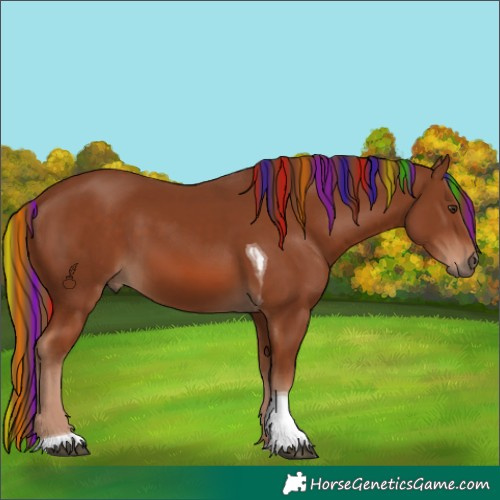 Horse Color:Painted Chestnut Tobiano 