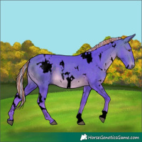 Horse Color:Void Painted Watercolor White Spotted Silver Buckskin 