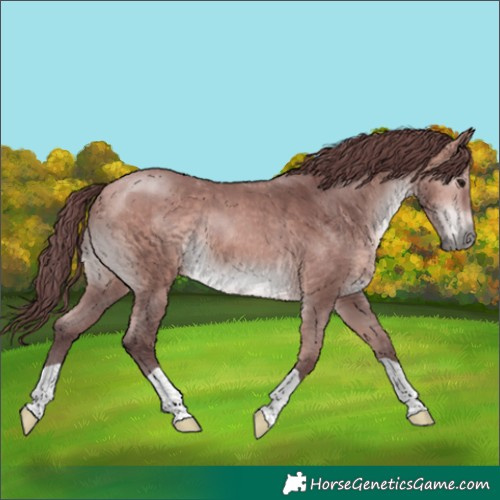 Horse Color:Platinum Chocolate Bay 