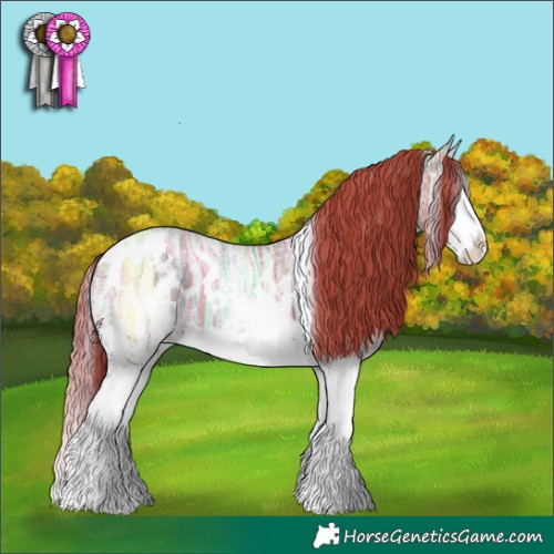 Horse Color:White Spotted Gold Champagne Ice Splash 