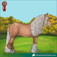Horse Color:Silver Amber Champagne Tobiano 