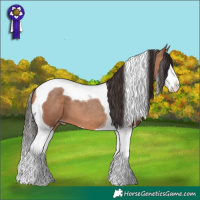 Horse Color:Sable Champagne Splash Tobiano 