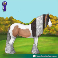 Horse Color:Sable Champagne Splash Tobiano 