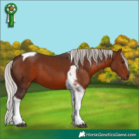 Horse Color:Silver Brown Tobiano 