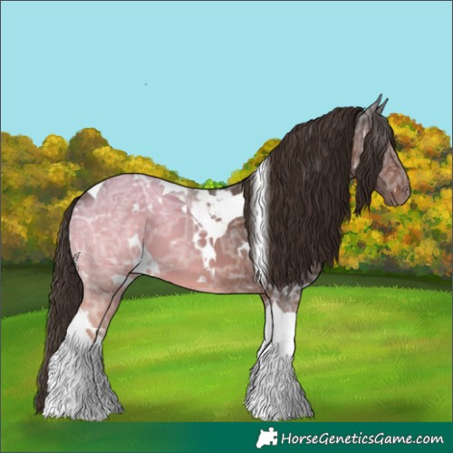 Horse Color:White Spotted Liver Chestnut Ice Tobiano