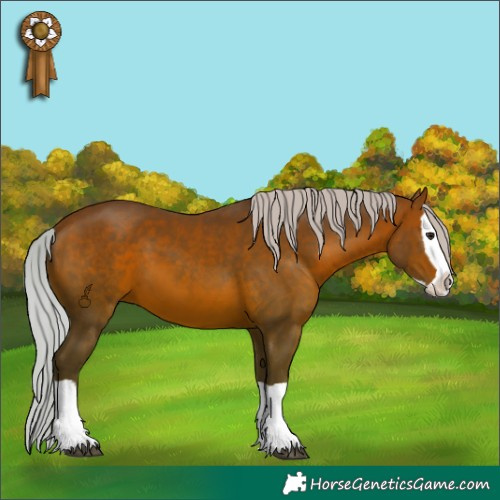 Horse Color:Silver Brown Mushroom Splash 