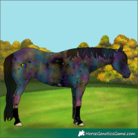 Horse Color:ERROR: UNKNOWN ANOMALY