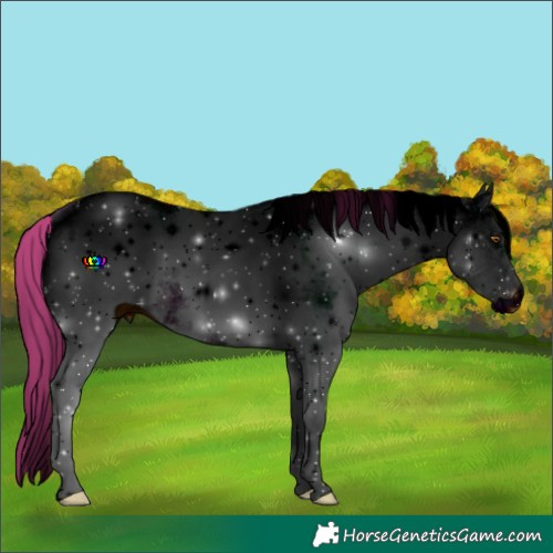 Horse Color:ERROR: UNKNOWN ANOMALY