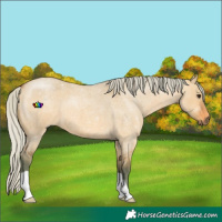 Horse Color:Watercolor Silver Bay Roan Dun