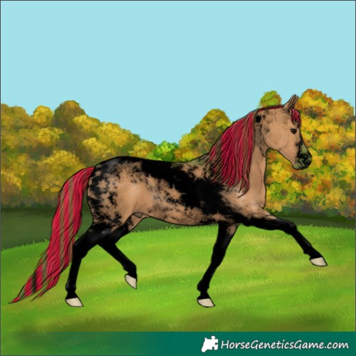 Horse Color:Void Painted Watercolor Chocolate Grullo Tobiano 