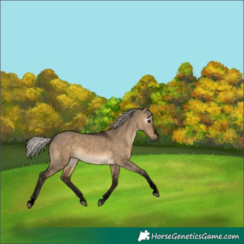 Horse Color:Gray Void Silver Brown Dun
