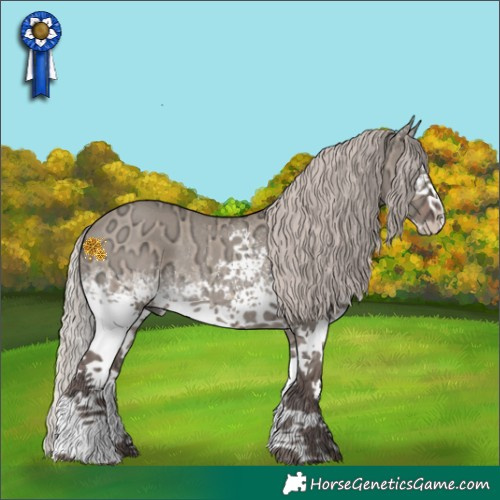 Horse Color:White Spotted Silver Grullo Ice Rabicano 