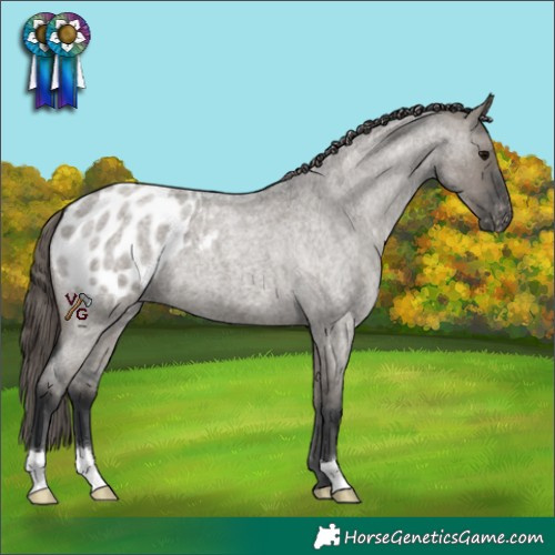Horse Color:Grullo Roan Blanket 