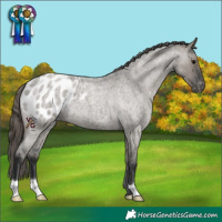 Horse Color:Grullo Roan Blanket 