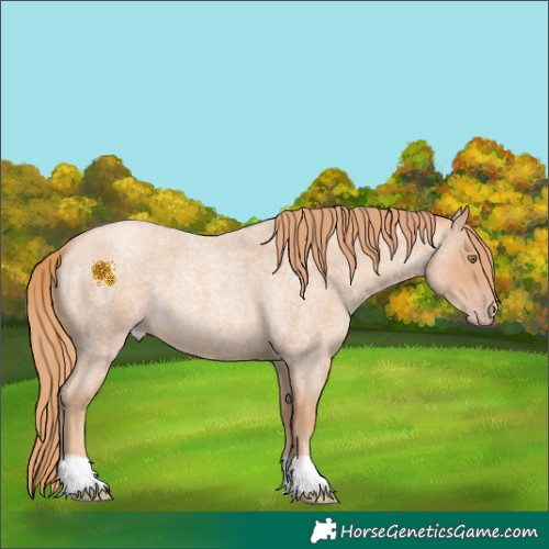 Horse Color:Gold Champagne Roan 