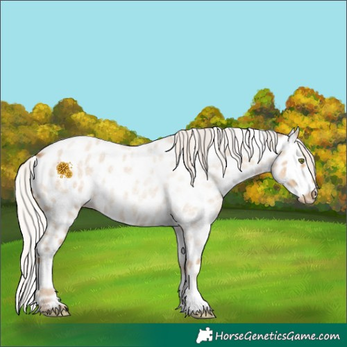 Horse Color:Silver Classic Cream Champagne Roan Near Leopard 