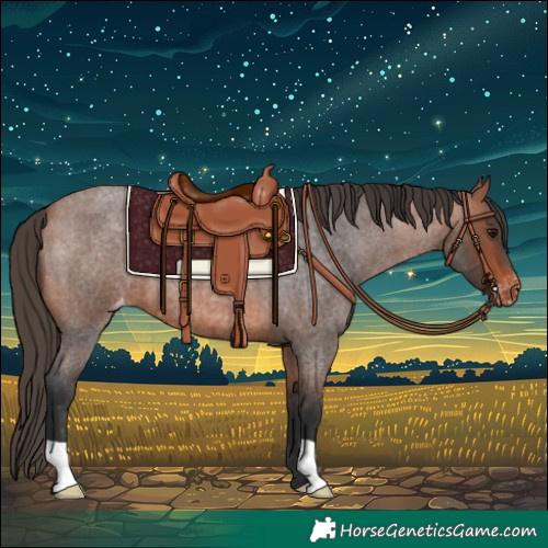 Horse Color:Bay Roan Varnish 