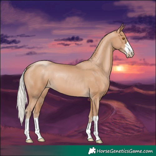 Horse Color:Silver Black Pearl 