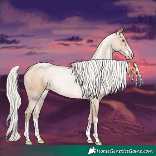 Horse Color:Silver Black Pearl Rabicano 