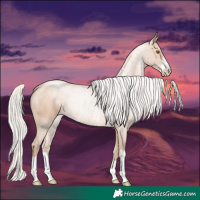 Horse Color:Silver Black Pearl Rabicano