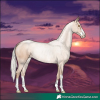 Horse Color:Silver Black Pearl Rabicano 