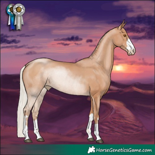 Horse Color:Silver Black Pearl Rabicano