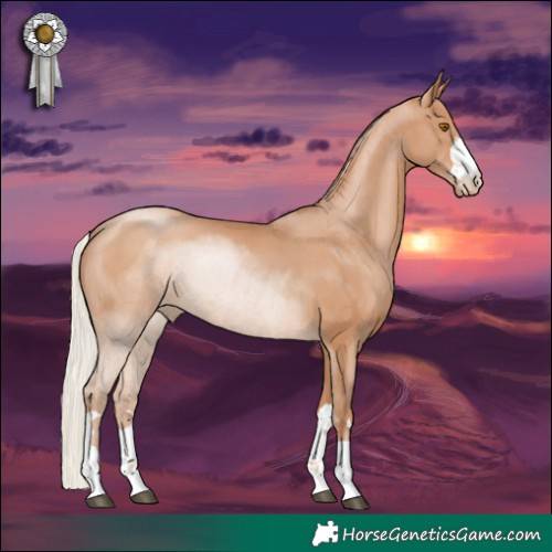 Horse Color:Silver Black Pearl Rabicano 