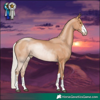 Horse Color:Silver Black Pearl Rabicano
