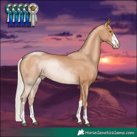 Horse Color:Silver Black Pearl Rabicano 