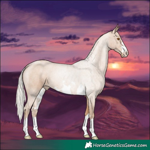 Horse Color:Silver Black Pearl 