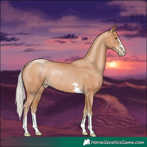 Horse Color:Silver Black Pearl Rabicano 