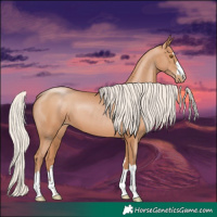 Horse Color:Silver Black Pearl 