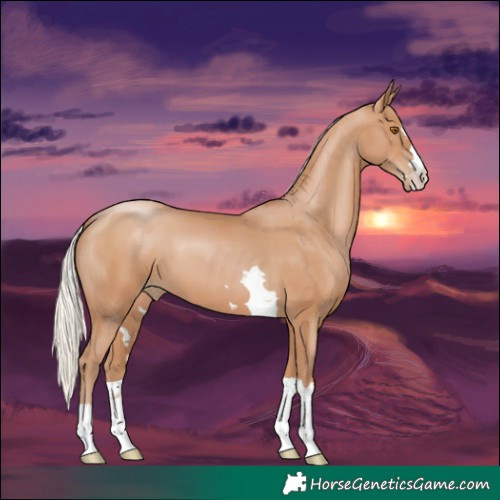 Horse Color:Silver Black Pearl 