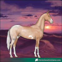 Horse Color:Silver Black Pearl Rabicano 