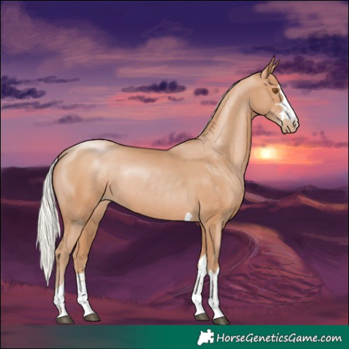 Horse Color:Silver Black Pearl Rabicano 