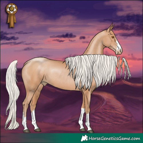 Horse Color:Silver Black Pearl Rabicano 