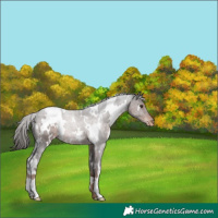 Horse Color:White Spotted Liver Chestnut Varnish